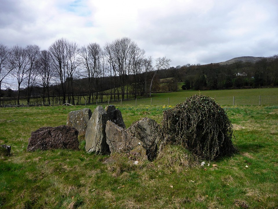Gwernvale (Chambered Tomb) by thesweetcheat