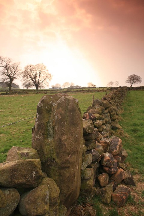 Nine Stones Close standing stone (Standing Stone / Menhir) by postman