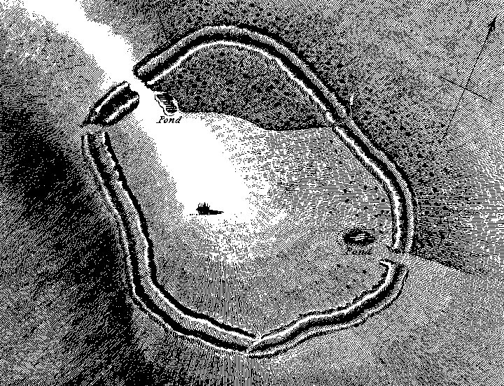 Fosbury Camp (Hillfort) by Chance