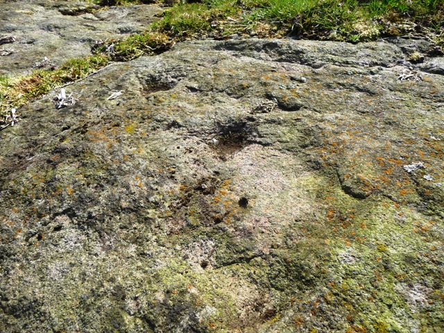 Backley Hill 1 (Cup and Ring Marks / Rock Art) by drewbhoy