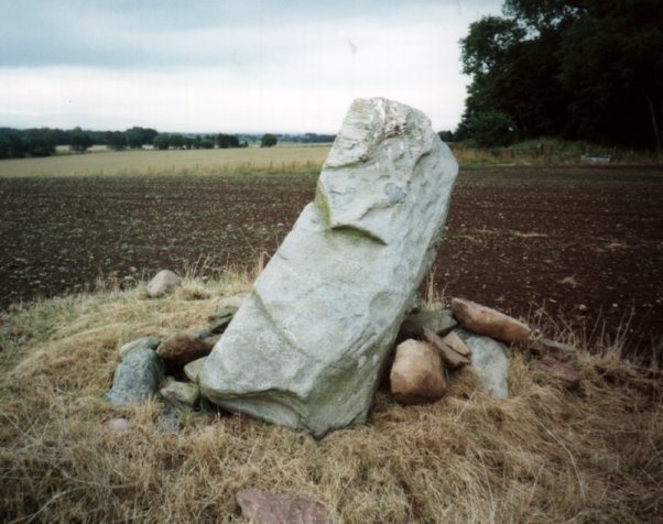 Killievair (Standing Stone / Menhir) by nickbrand
