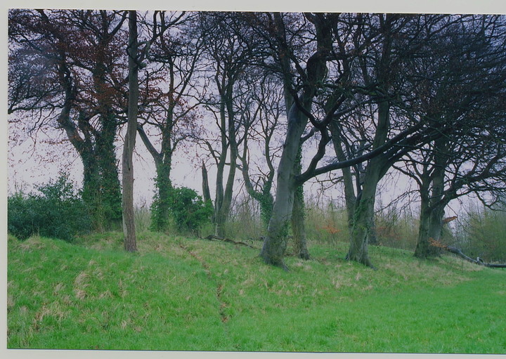 Pole's Wood South (Long Barrow) by GLADMAN