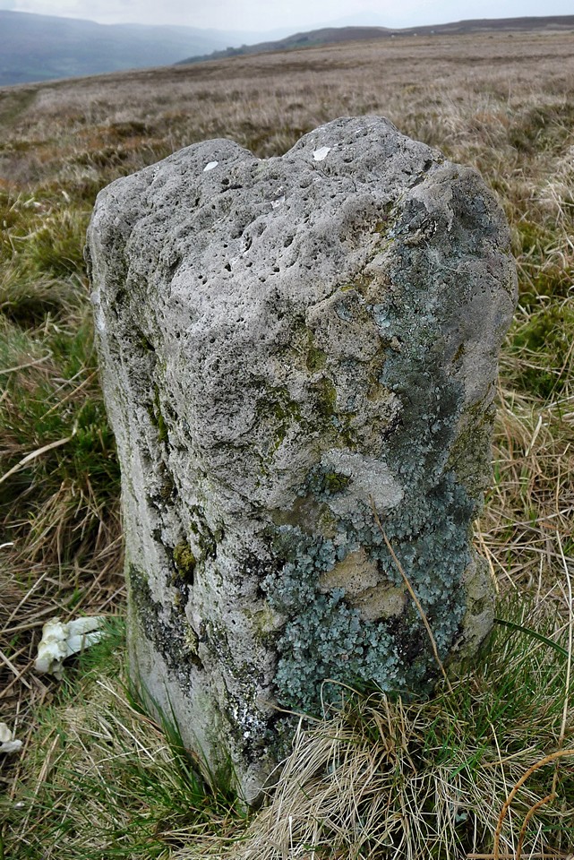 Carreg Wen Fawr Y Rugos (Stone Row / Alignment) by thesweetcheat