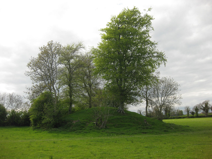 Heathtown Mound (Artificial Mound) by ryaner