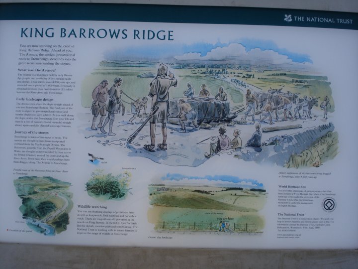 Old King Barrows (Barrow / Cairn Cemetery) by Chance