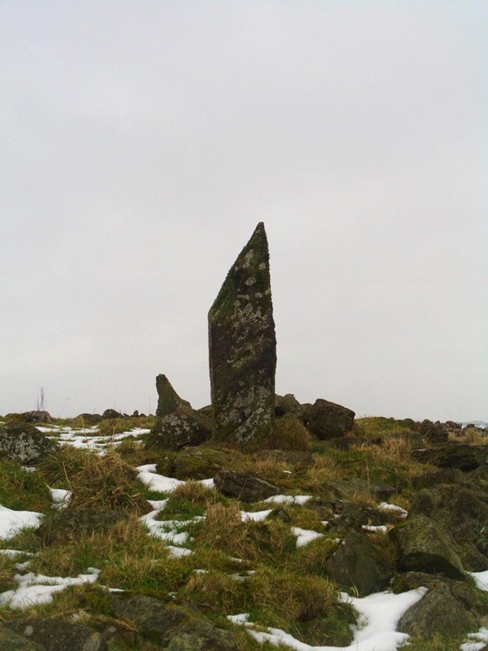 Old Bourtreebush (Stone Circle) by faerygirl