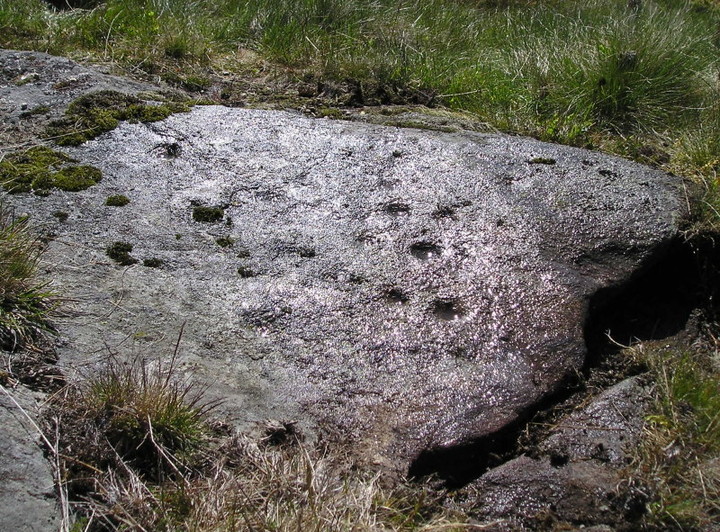 Meikle Logie (Cup Marked Stone) by tiompan