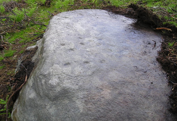 Craig Tombane (Cup Marked Stone) by tiompan