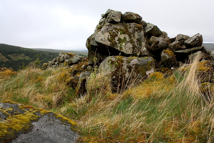 Bencallen Hill (Chambered Tomb) by GLADMAN
