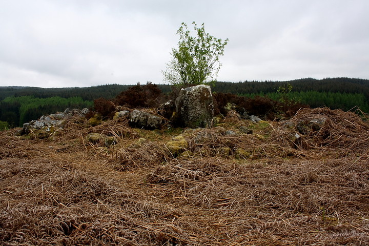 Stockie Muir (Chambered Cairn) by GLADMAN