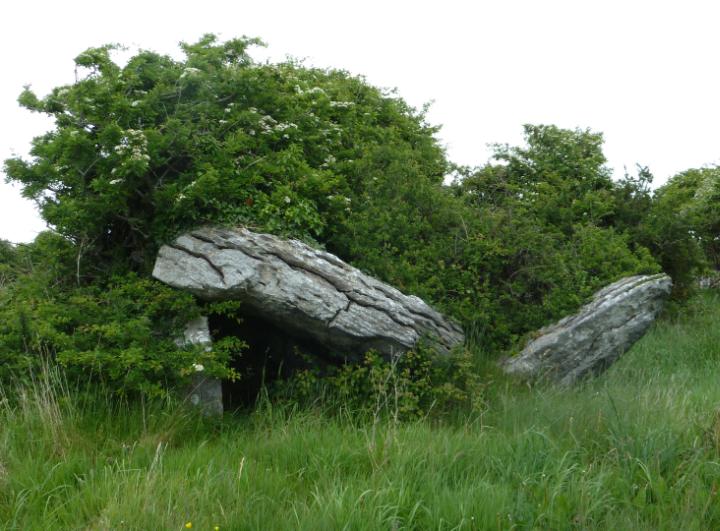 Ballynacloughy (Portal Tomb) by Nucleus