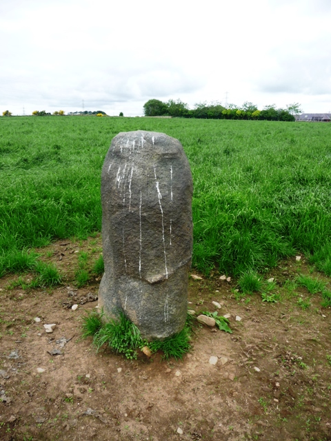 South Leylodge (Standing Stone / Menhir) by drewbhoy