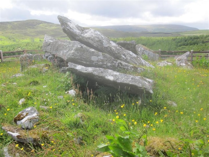 Cabragh (Wedge Tomb) by bogman