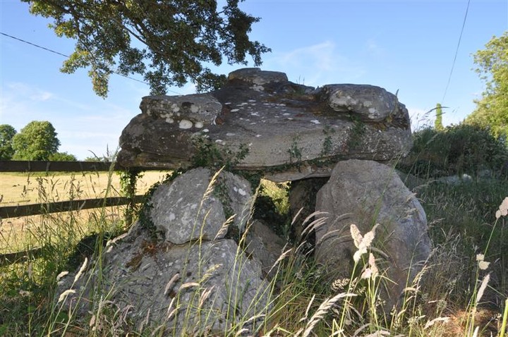 Annaghmore (Portal Tomb) by bogman