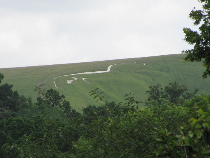 Uffington White Horse (Hill Figure) by tjj