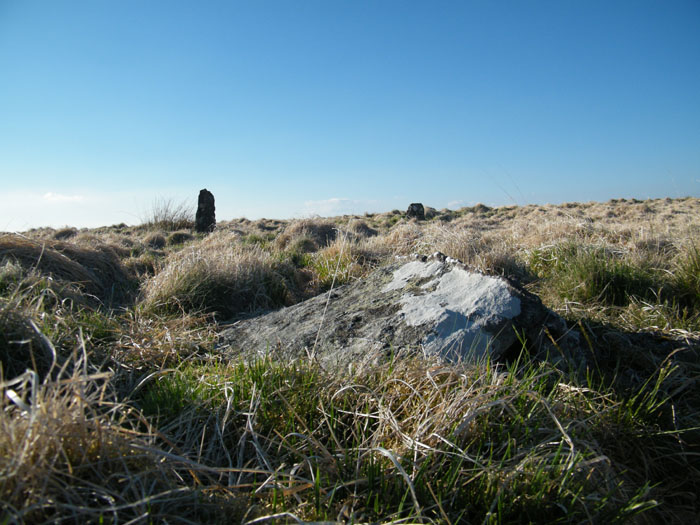 Bryn y Gorlan (Stone Circle) by cerrig