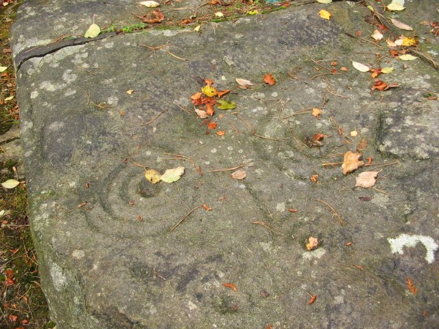 Panorama Stone (Cup and Ring Marks / Rock Art) by stubob