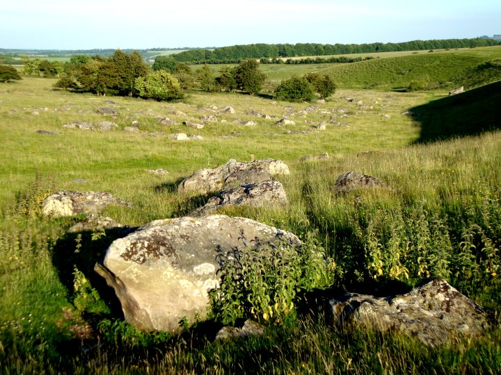 Fyfield Down (Natural Rock Feature) by Chance