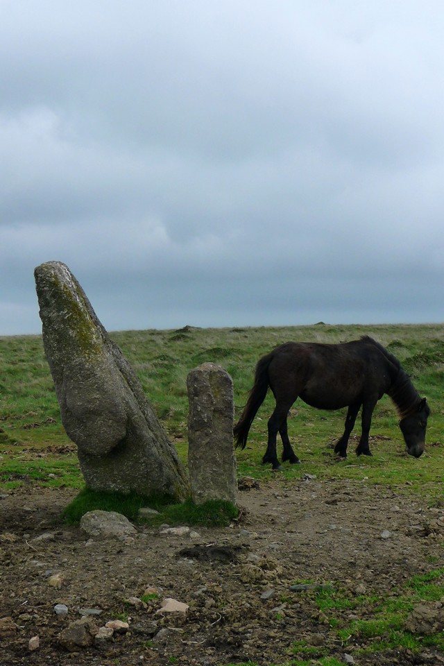 Piles Hill longstone (Standing Stone / Menhir) by thesweetcheat