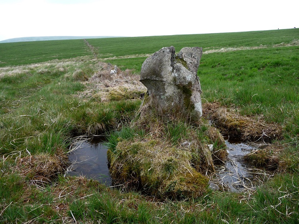 Stall Moor Stone Row (Stone Row / Alignment) by thesweetcheat