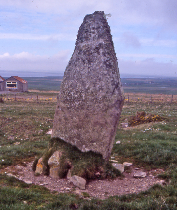 Staney Hill (Standing Stone / Menhir) by wideford