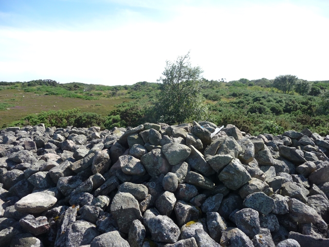 Tullos Hill (Cairn(s)) by drewbhoy