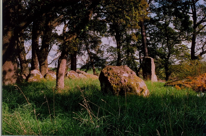 Druidtemple (Clava Cairn) by GLADMAN