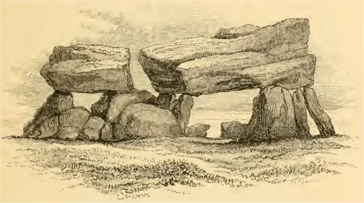 Plas Newydd Burial Chamber (Dolmen / Quoit / Cromlech) by Chance
