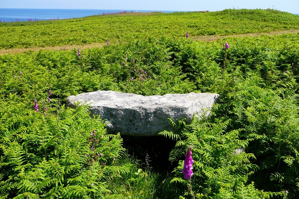 Normandy Down (Chambered Cairn) by thesweetcheat