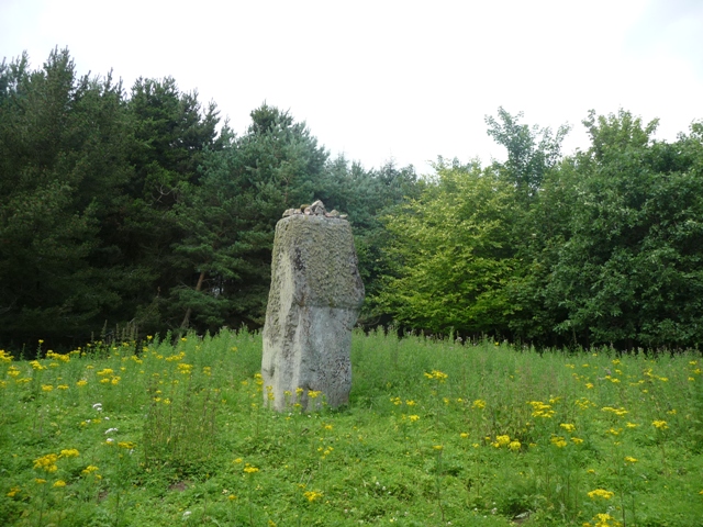 Woodend of Cluny (Standing Stone / Menhir) by drewbhoy