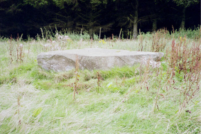 The Boat Stone (Standing Stone / Menhir) by hamish