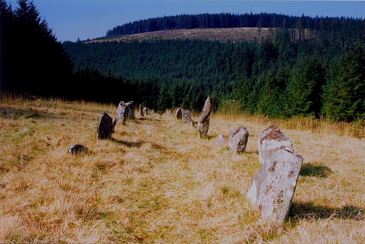 Assycombe Hill (Stone Row / Alignment) by GLADMAN