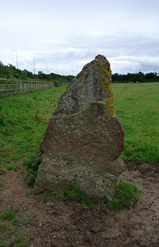 Llanfihangel Rogiet (Standing Stone / Menhir) by thesweetcheat