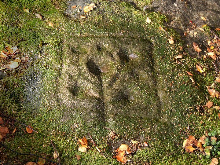Guisecliff Wood (Cup and Ring Marks / Rock Art) by Chris Collyer