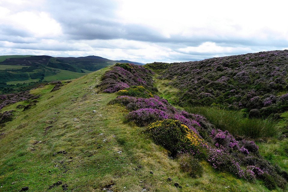 Penycloddiau (Hillfort) by thesweetcheat