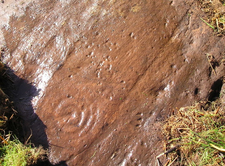 Menteith (Cup and Ring Marks / Rock Art) by tiompan