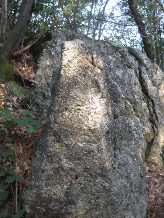 Bassi's dolmen entrance (Engraved stone) by Ligurian Tommy Leggy
