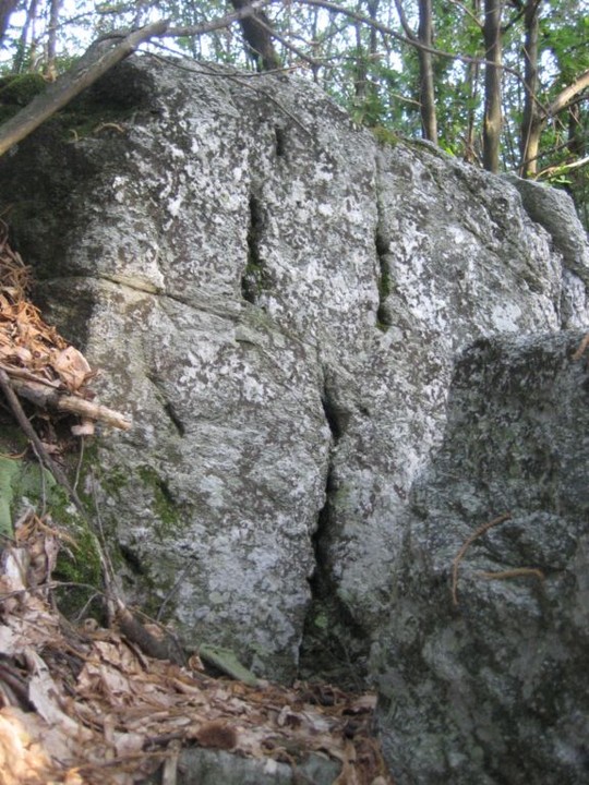 Bassi's dolmen entrance (Engraved stone) by Ligurian Tommy Leggy