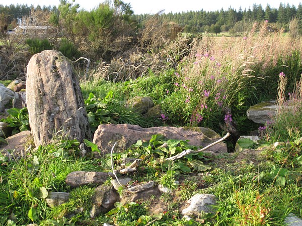 Carn Glas (Mains of Kilcoy) (Chambered Tomb) by new abbey