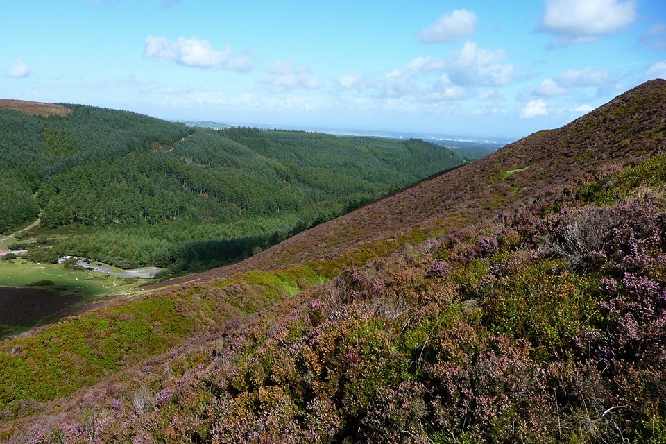 Foel Fenlli (Hillfort) by thesweetcheat