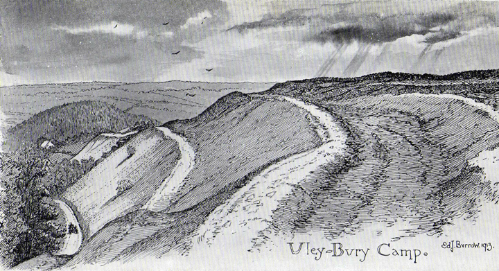 Uley Bury Camp (Hillfort) by stubob