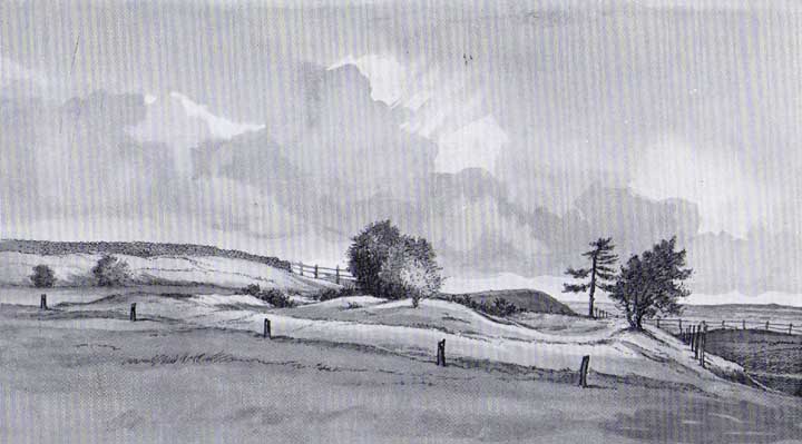 Leckhampton Hill (Hillfort) by stubob