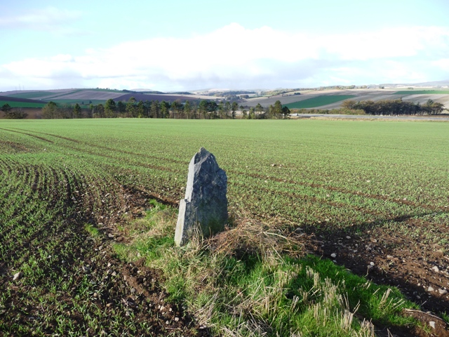 Dilly Hill 2 (Standing Stone / Menhir) by drewbhoy