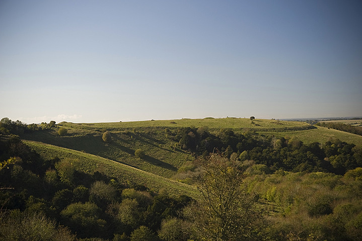 Old Winchester Hill (Hillfort) by A R Cane