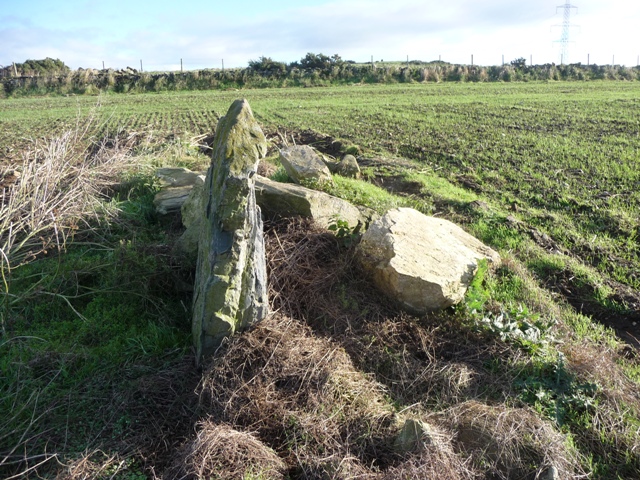 Dilly Hill 3 (Standing Stone / Menhir) by drewbhoy
