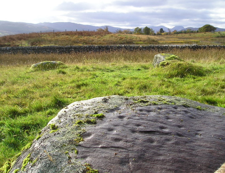 Kiltyrie (Cup and Ring Marks / Rock Art) by tiompan