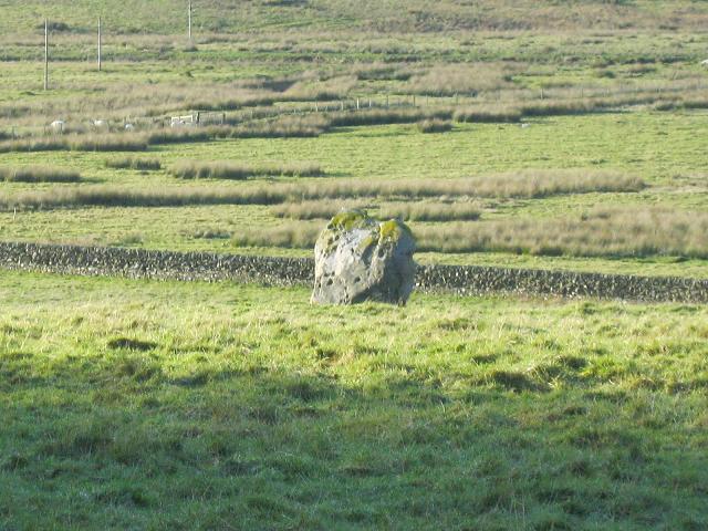 Crookedstone (Standing Stone / Menhir) by Howburn Digger