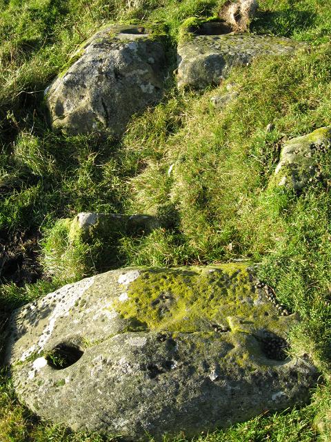 Crookedstone (Standing Stone / Menhir) by Howburn Digger