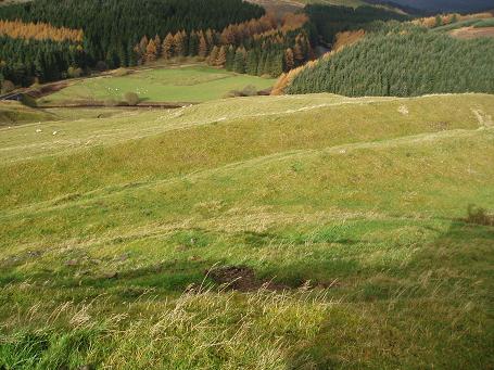 Bailiehill Fort (Hillfort) by Vicster