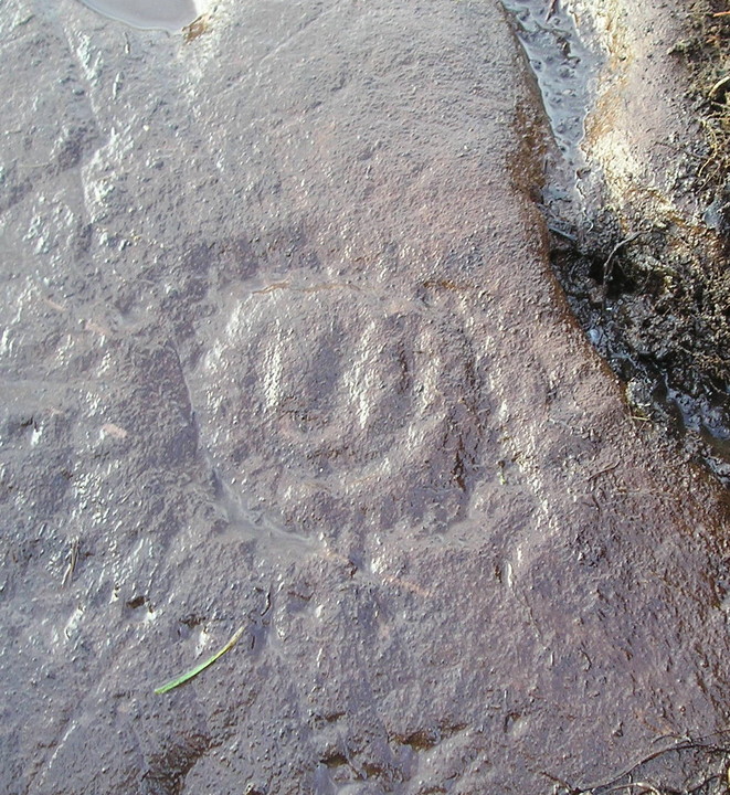 Menteith (Cup and Ring Marks / Rock Art) by tiompan